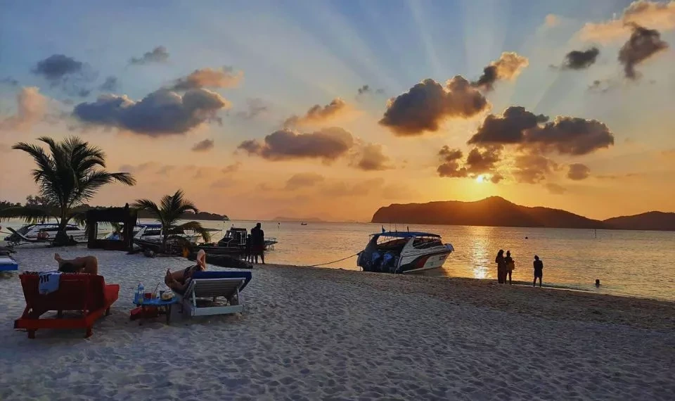 listing card gallery