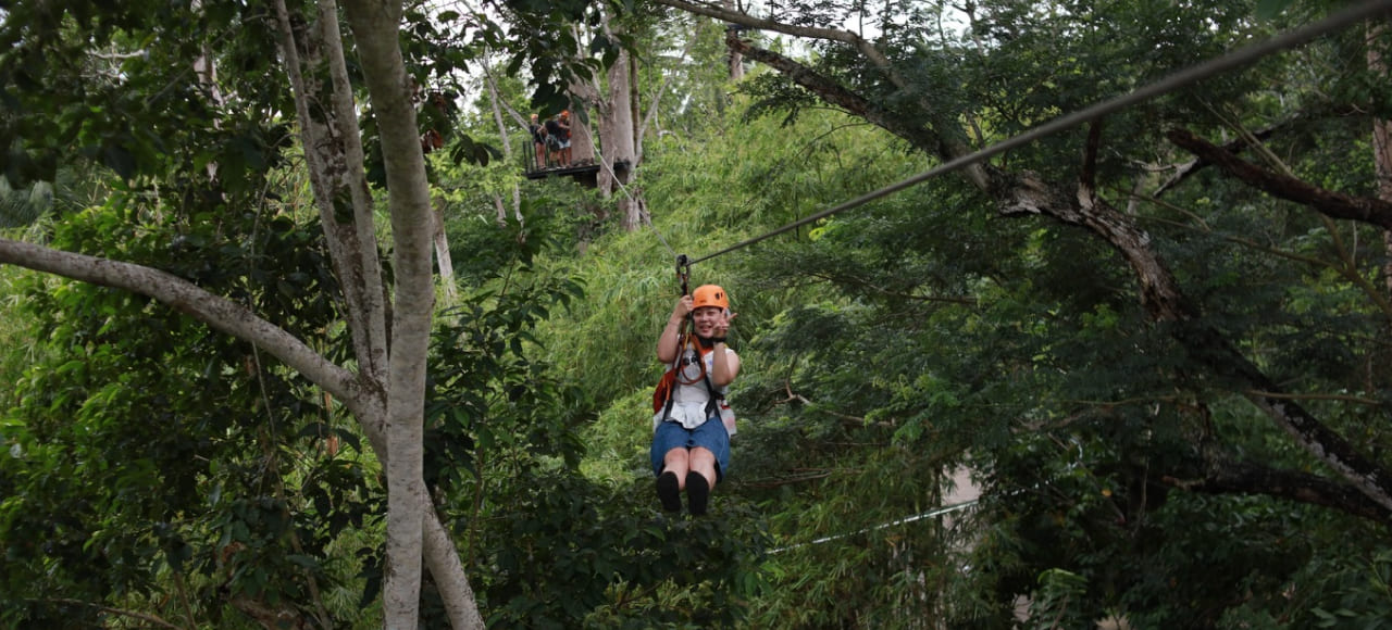 listing card gallery