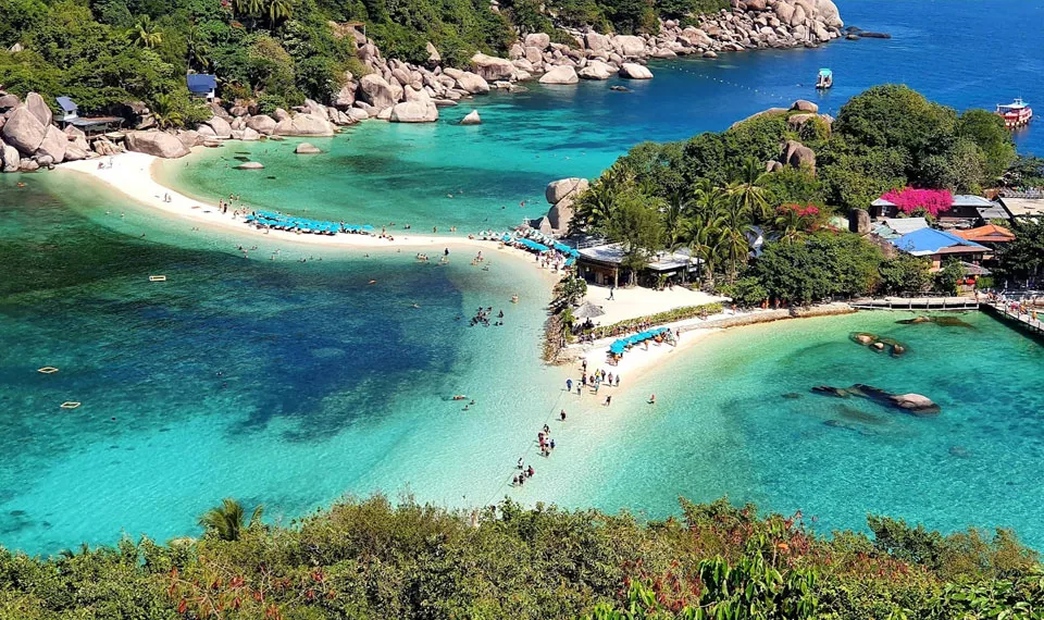 listing card gallery